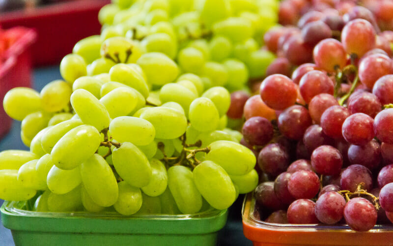 german shepherd and grapes