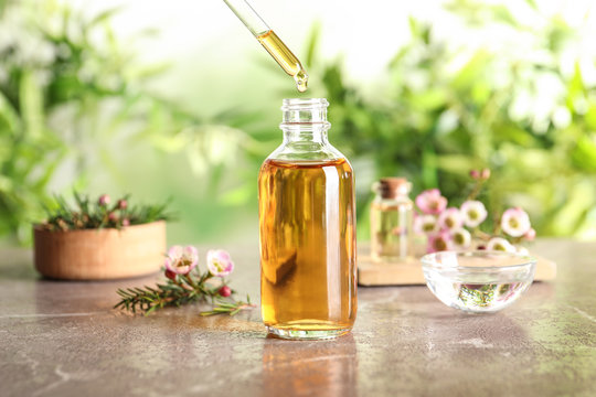 The 6 Best Tea Tree Oils Worth Buying In 2022