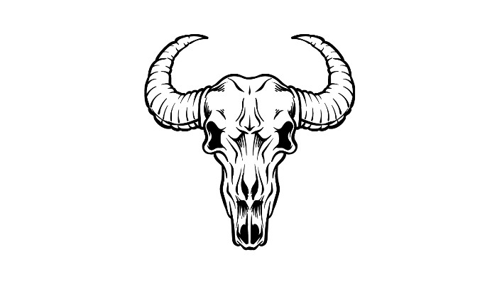 How to Draw a Bull Skull