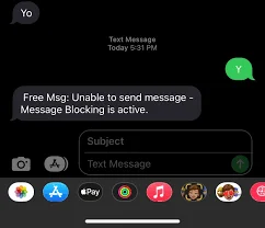 What Are Some Things I Can Do If I'm Already Blocked by Text Messaging?