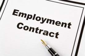 employment lawyer toronto