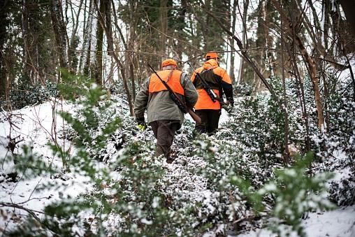 Winter Hunting in snow