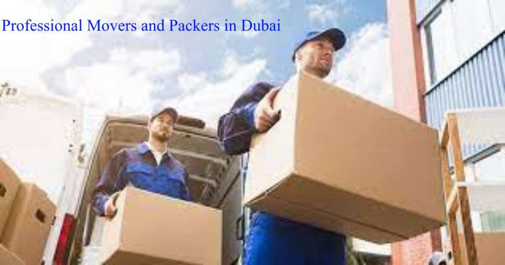 indigo movers and packers office in Dubai with storage service