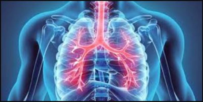 Rejuvenating Your Lungs for Optimal Health