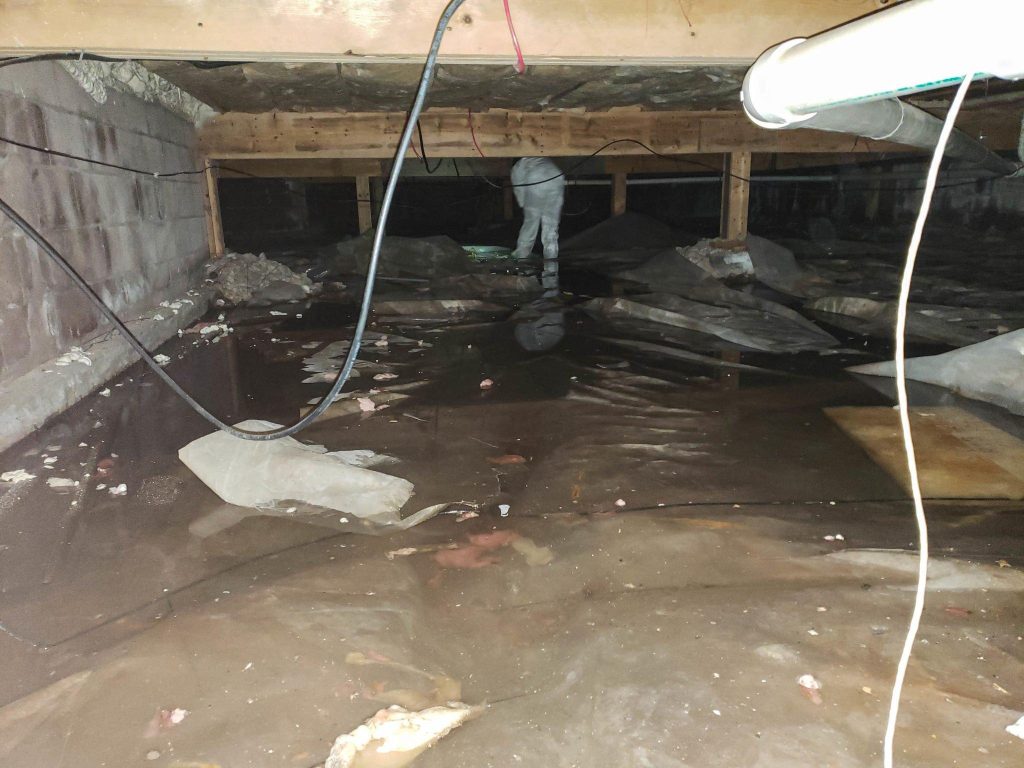 flood damage restoration