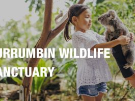 Enjoy Holiday Trip to Currumbin Wildlife Sanctuary