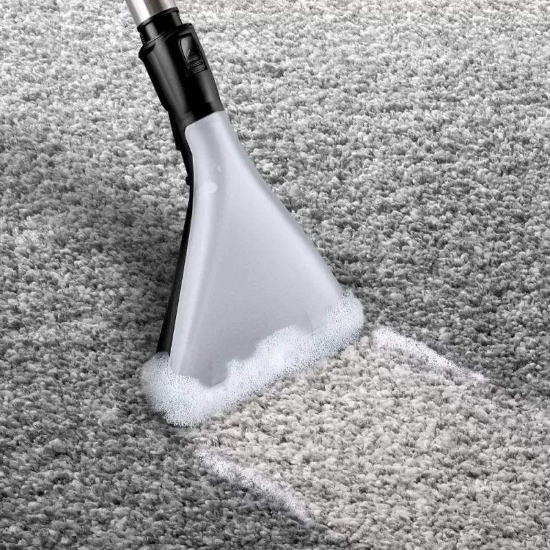 carpet cleaning
